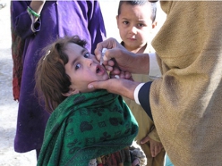 polio_pakistan3